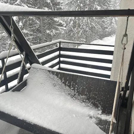 Leni Kopaonik